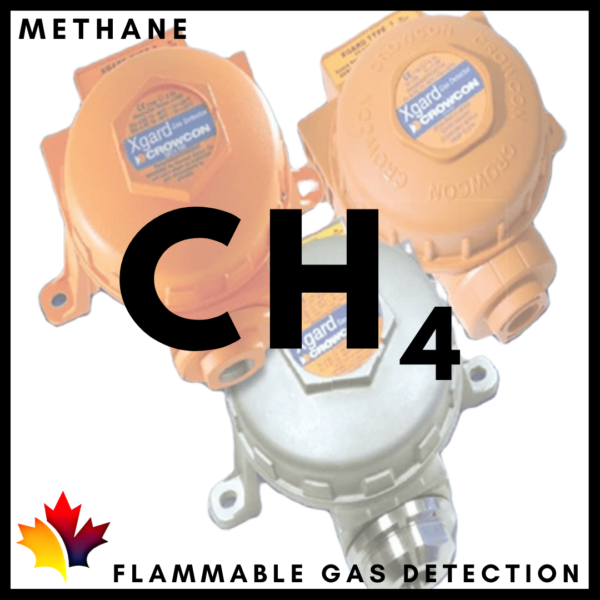 Crowngas Qatar CH4 Methane Flammable Gas Detector in Qatar