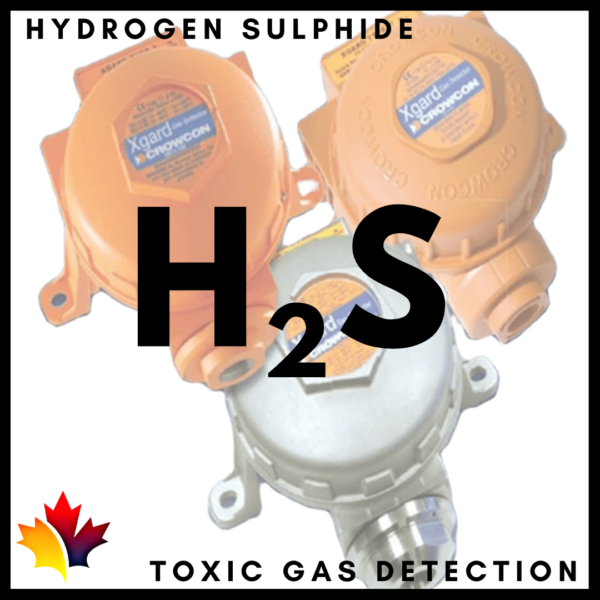 Crowngas Qatar H2S Hydrogen Sulphide Toxic Gas Detector in Qatar