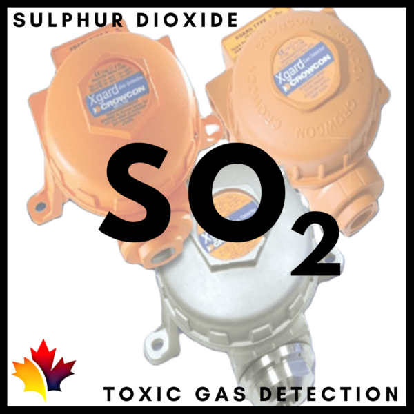 Crowngas Qatar SO2 Sulphur Dioxide Toxic Gas Detector in Qatar